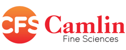camlin camlin